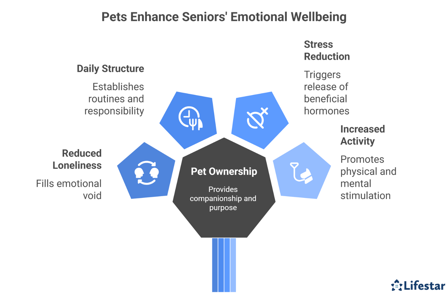 How Do Pets Boost Older Adults’ Emotional Health and Quality of Life at Home