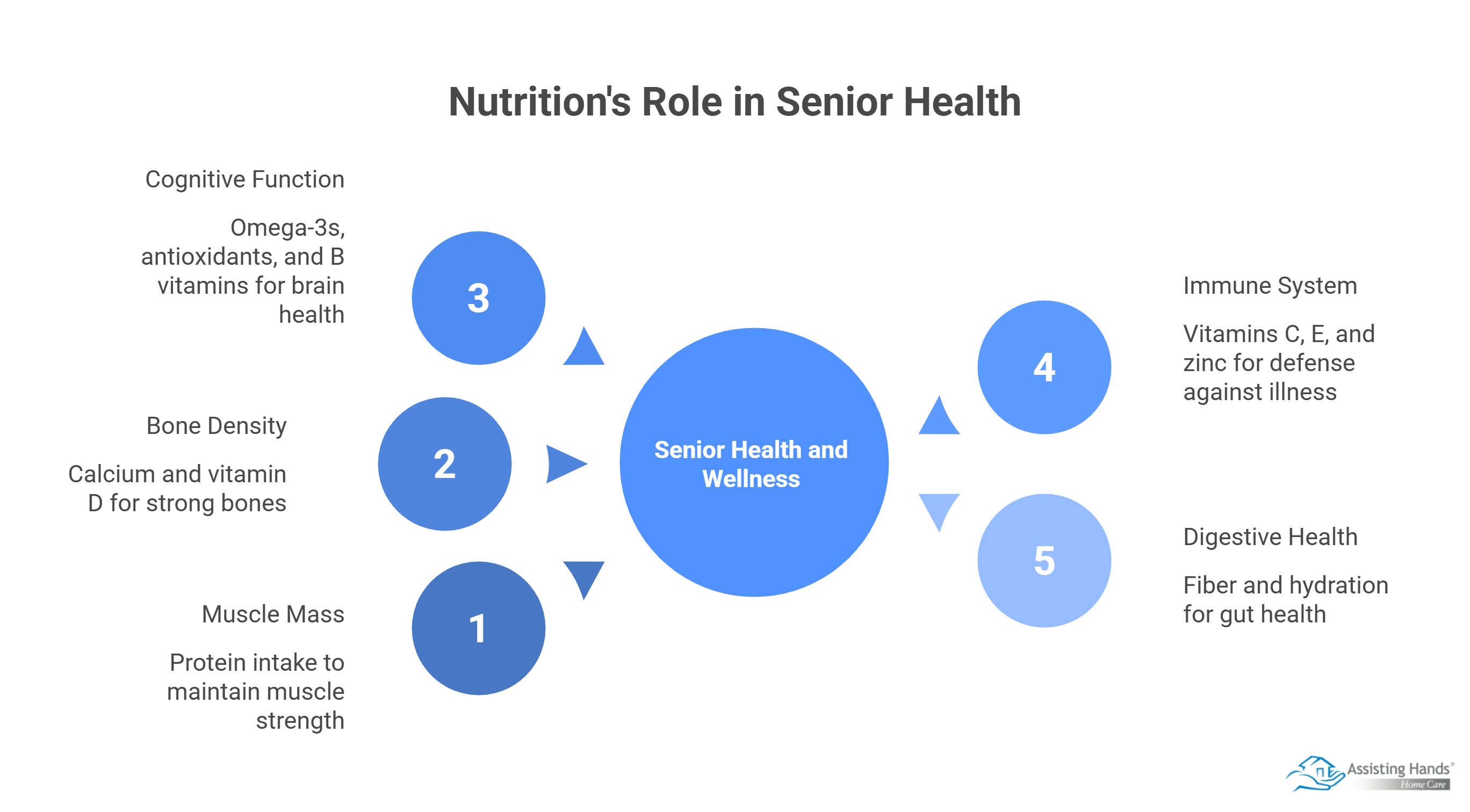 How Does Nutrition Support Health & Wellness in Older Adult